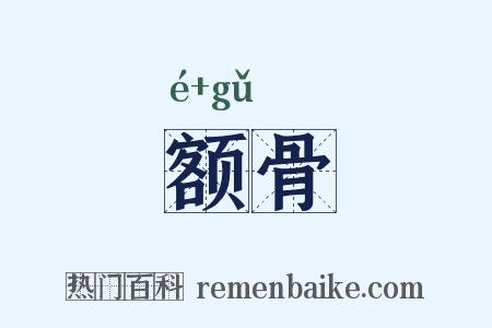 额骨是什么意思的图片